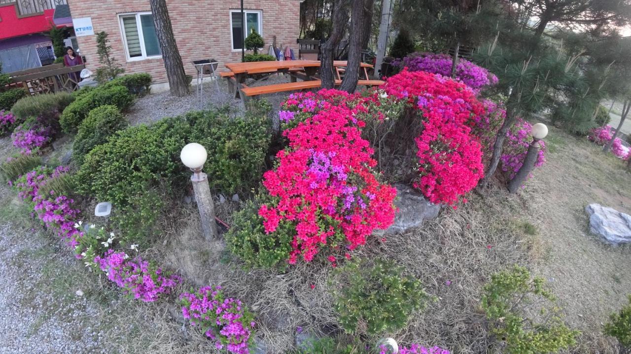 Yeowoogneul Pension Chuncheon Eksteriør billede